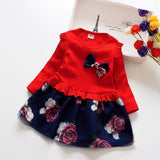 Kid Baby Girl  Flower  Party Pageant Dresses