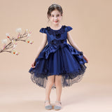 Kid Girl Flower Elegant Princess Dress