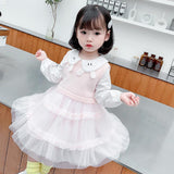 Kid Baby Girl Autumn Casual Cute Gauze Dresses