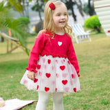 Baby Dress Autumn Long Sleeve Cute Heart Patchwork Mesh Princess Party Dress