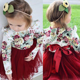 Baby Girls Long Sleeve Flower Tulle Bow Christmas Dresses