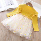 Kid Baby Girls Veil  Autumn Printed Baby Wear Princess Dress