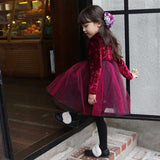 Kid Baby Girls Velvet Party Princess Autumn Ruffle Dresses