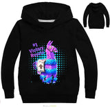 Boys Girls Rainbow Smash Pony Horse Sweatshirt 3D Hoodies