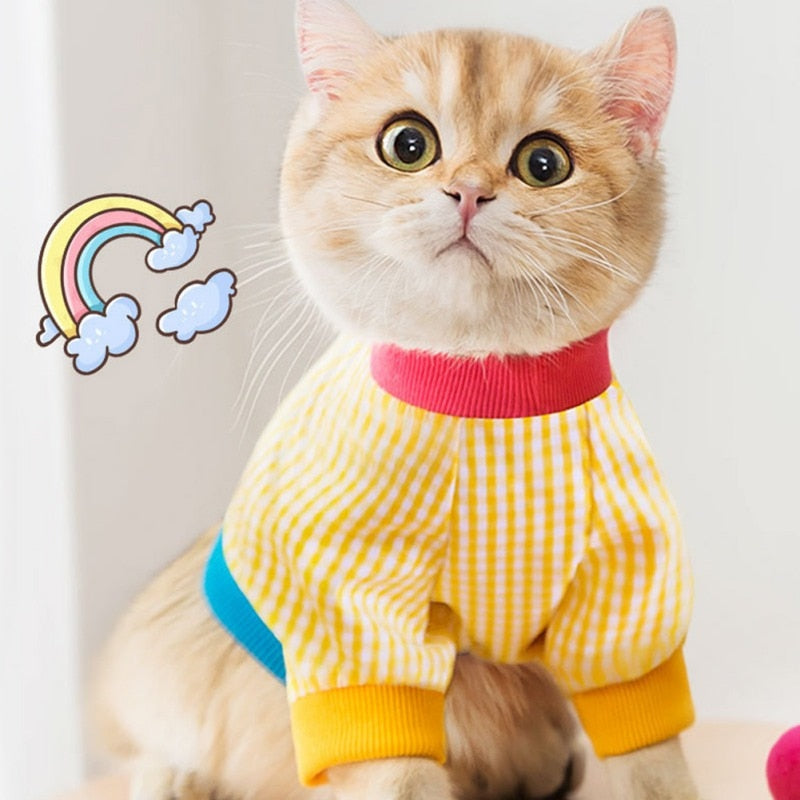 Cat Clothes Plaid Spring Warm Casual Costumes