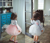 Kid Baby Girl Autumn Digital Print Flower  Princess Dresses