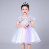 Flower Girl Lace Dress Pageant Kids Wedding Christmas Holiday Party Dresses