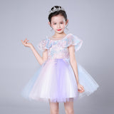 Flower Girl Lace Dress Pageant Kids Wedding Christmas Holiday Party Dresses