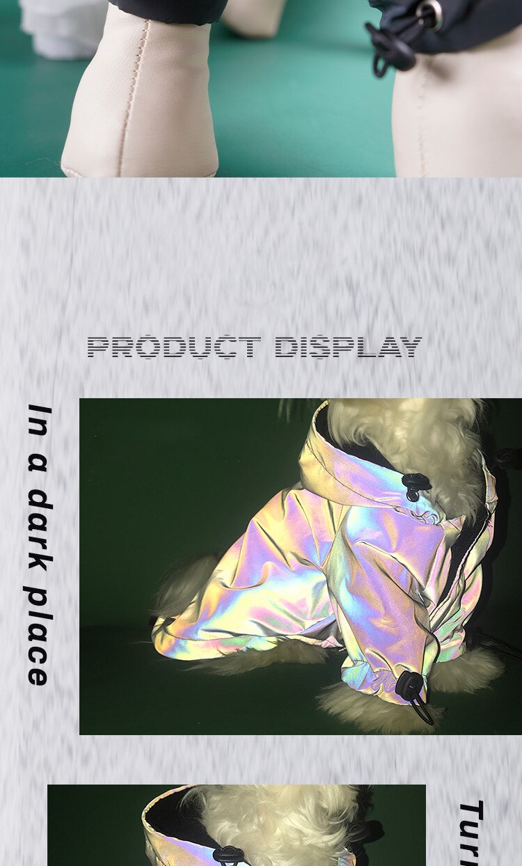 Pet Fashion Cool Colorful Waterproof Reflective