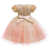 Lace Kid Girls Wedding Embroidered Flower Princess Sparkle Tulle Dresses