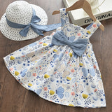 Baby Girl Summer Flowers Floral Costumes Cute Dress With Hat