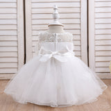 Baby 3D Flower Embroidery Newborn Ball Gown Dresses