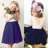 Summer Kids Little Girls Princess Baby Girl  Flower Lace Tutu Dress 1-6 Years - honeylives