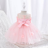 Baby 3D Flower Embroidery Newborn Ball Gown Dresses