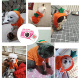 Pet Warm Dog Winter Clothes Cute Fruit Coat
