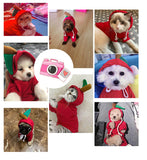 Pet Warm Dog Winter Clothes Cute Fruit Coat