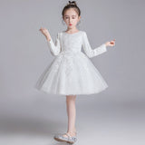 Kid Girl Lace Princess Elegant Embroidery Birthday Dresses