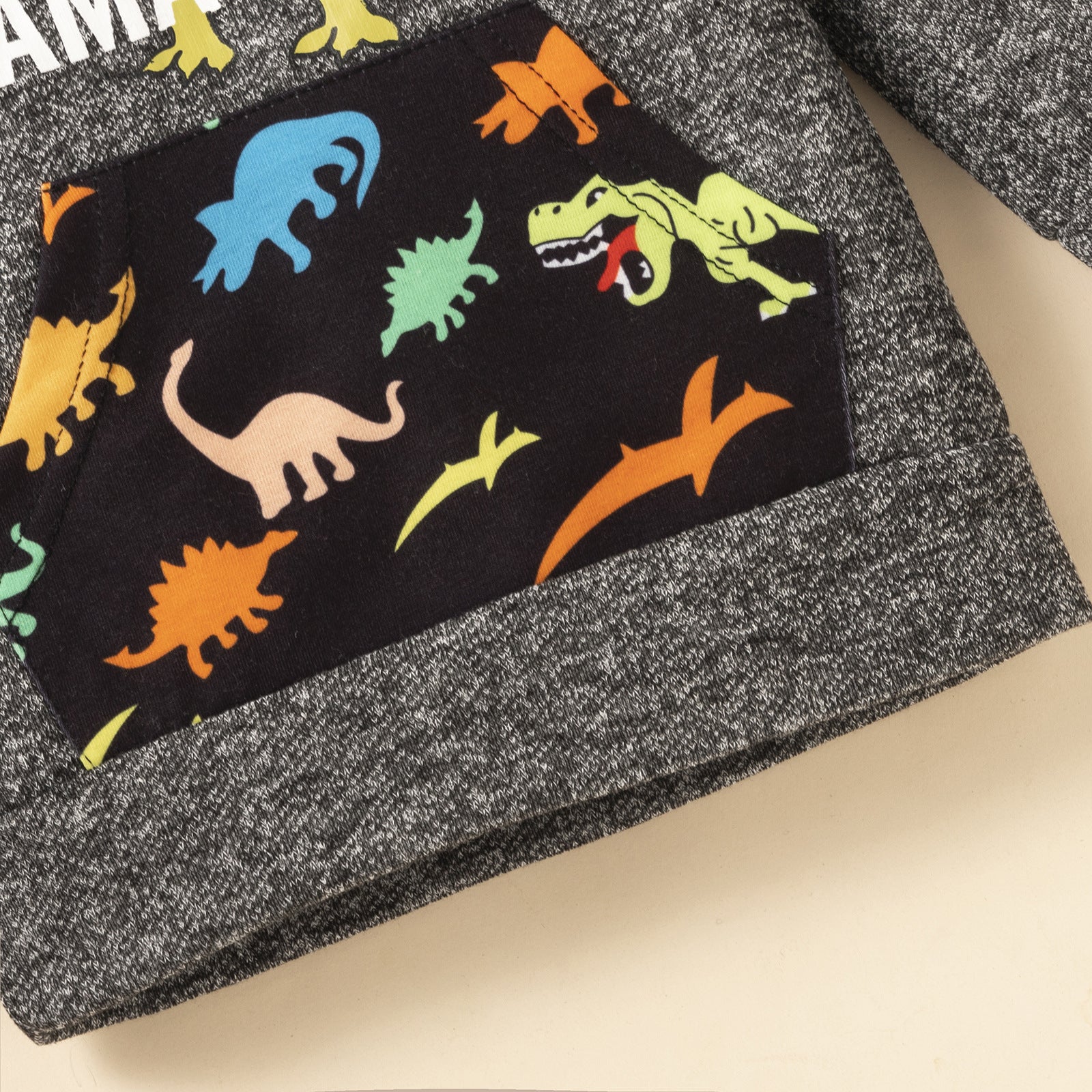 Kid Baby Boy Autumn Winter Letter Dinosaur Print 2 Pcs Sets Suit