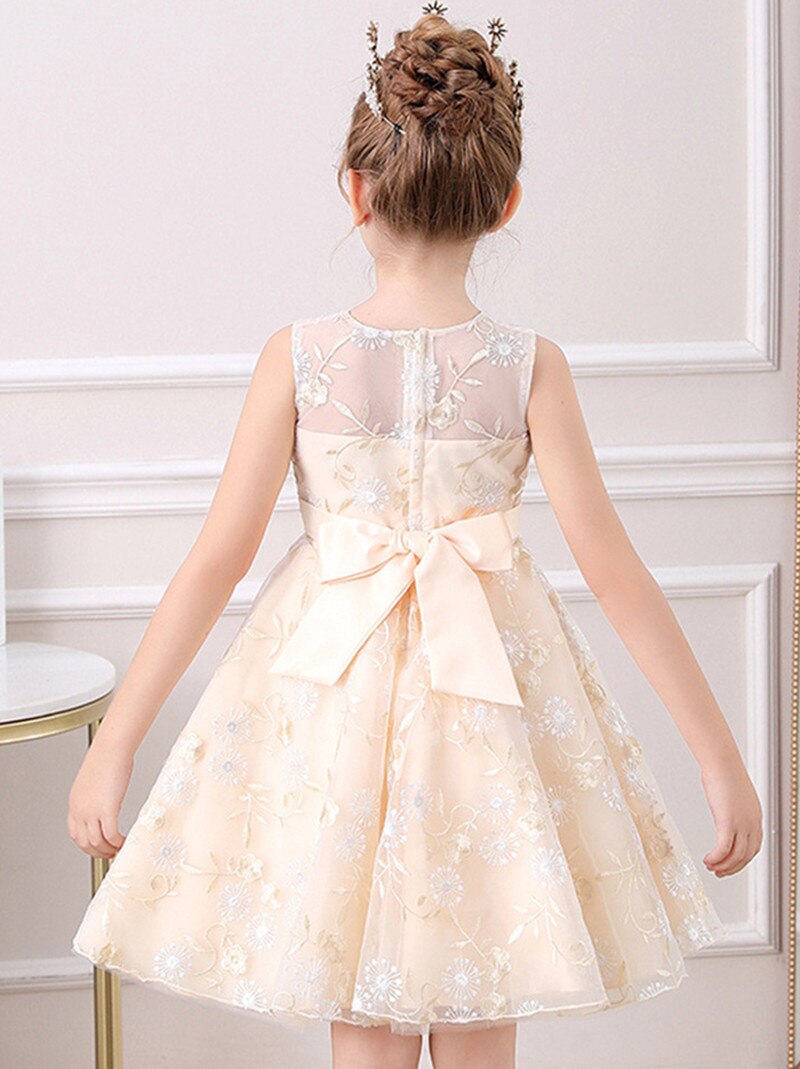 Kid Girls Embroidery Ball Gown Princess Dresses