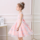 Kid Girls Embroidery Ball Gown Princess Dresses