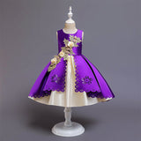 Kid Baby Girl Princess Embroidery Pageant Party Dresses