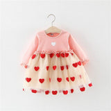 Baby Girl Valentine Love Heart Mesh Lace Dress